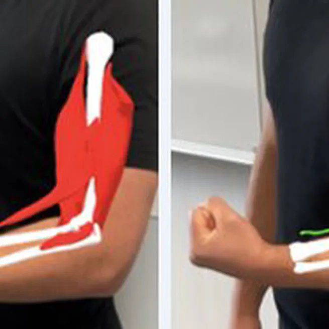 PerSiVal: On-Body AR Visualization of Biomechanical Arm Simulations